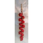 Cipolla garland rosso 12 teste