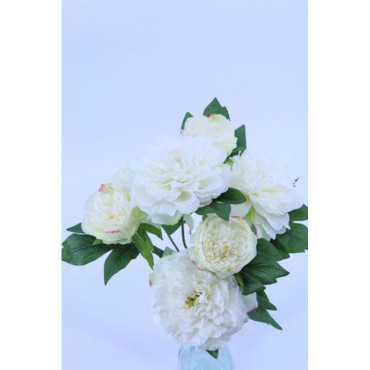 Peonia mazzo x7 white