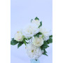 Peonia mazzo x7 white