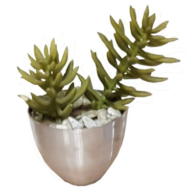 Succulent in vaso alluminiio