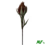 Polyfoam protea flower red