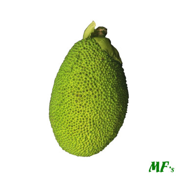 Jackfruit cm. 19 verde