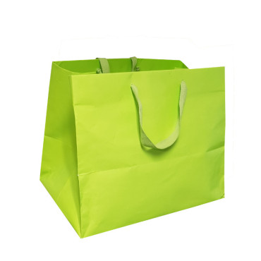 Shopper lus. 36×25 (5 pz)