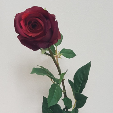 Rosa singola cm. 90 rosso