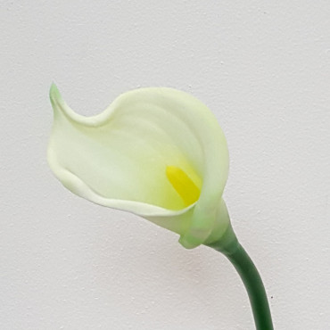 Calla singola cm. 65