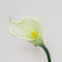 Calla singola cm. 65