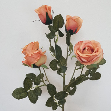 French Rose 5 fiori h.70 pesca