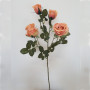 French Rose 5 fiori h.70 pesca