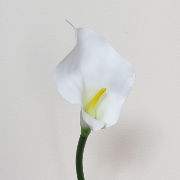 Calla singola cm.40