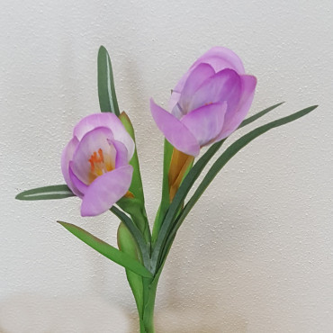 Crocus 2 fiori cm.23 lilla