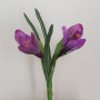 Crocus 2 fiori cm.23 lilla