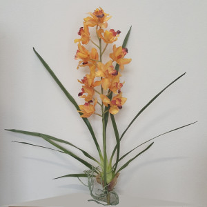 SV-Cymbidium pianta cm.80 giallo