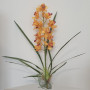 SV-Cymbidium pianta cm.80 giallo