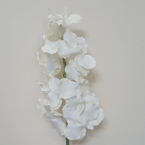 vanda 9 fiori cm.85 bianco