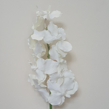 Vanda 9 fiori cm.85 bianco