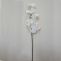 vanda 9 fiori cm.85 bianco