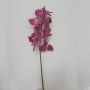 Vanda stelo 9 fiori cm.85 fucsia