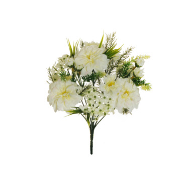 Zinnia mazzo x12 bianco