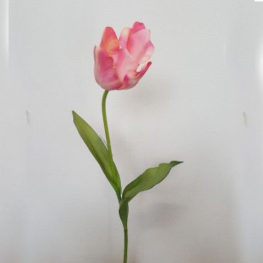 Tulipano singolo cm.76 rosa