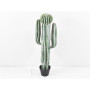 Cactus cm. 100 in vaso