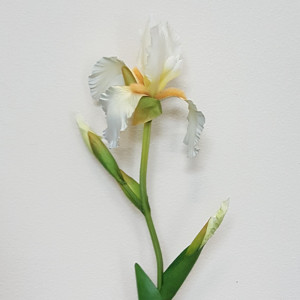 Iris 3 fiori cm.82 crema