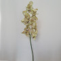 Cymbidium 12 fiori cm.105 verde