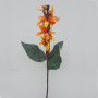 Canna indica cm.90 arancio