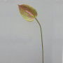 Anthurium cm.87 verde/rosa