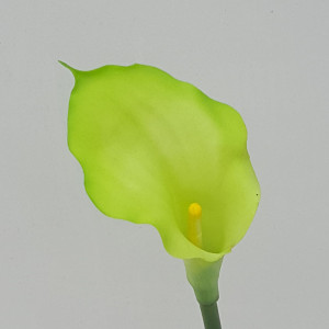 Calla piccola cm.57 verde