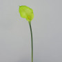 Calla piccola cm.57 verde