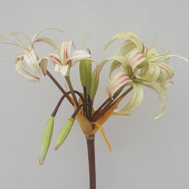 Amaryllis 10 fiori cm.100 verde