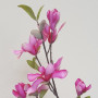 Magnolia ramo cm.80 rosa