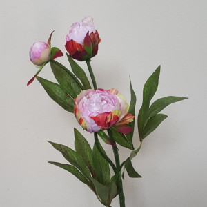 Peonia stelo 3 fiori cm.46 lilla