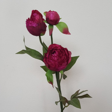 Peonia stelo 3 fiori cm.46 viola