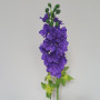 Delphinium stelo cm.80 viola