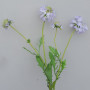 Scabiosa ramo 5 fiori cm.70 lavanda