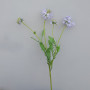 Scabiosa ramo 5 fiori cm.70 lavanda