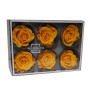 Rosa preservata standard warm yellow (pz.6)