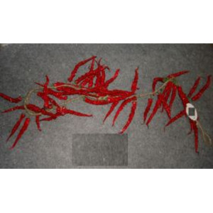 Peperoncino rosso