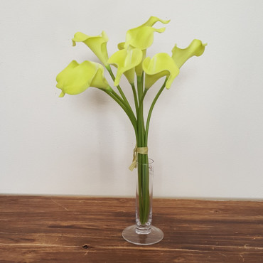 Calla mini mazzo 9 fiori cm. 35