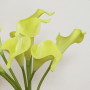 Calla mini mazzo 9 fiori cm. 35