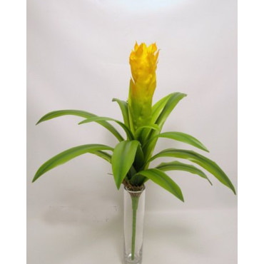 Ginger flower cm.53 giallo