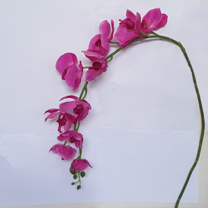 Phalaenopsis real ramo 10 fiori cm.125