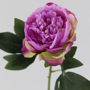 Peonia ramo cm.50 viola