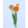 Tulipano mazzo x4 arancio