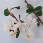 Ramo rododendro x 3 cm.102 light pink