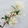 Ramo rododendro x 3 cm.102 white