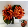 Ninfea bouquet orange