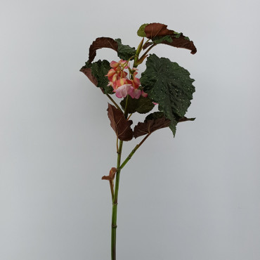 Begonia ramo cm.110 rosa