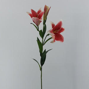 Lilium ramo cm.90 fuxia